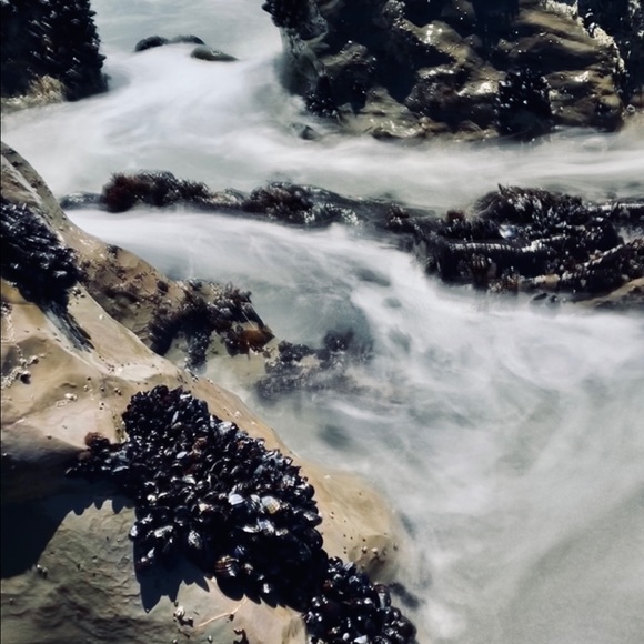 Meet your Posher, Simone - Picture 2 of 4